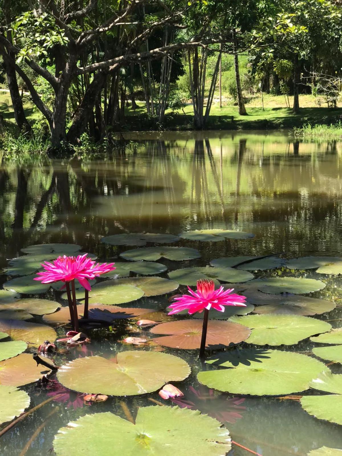 Canto De Roca Turismo E Lazer Mimoso do Sul 외부 사진