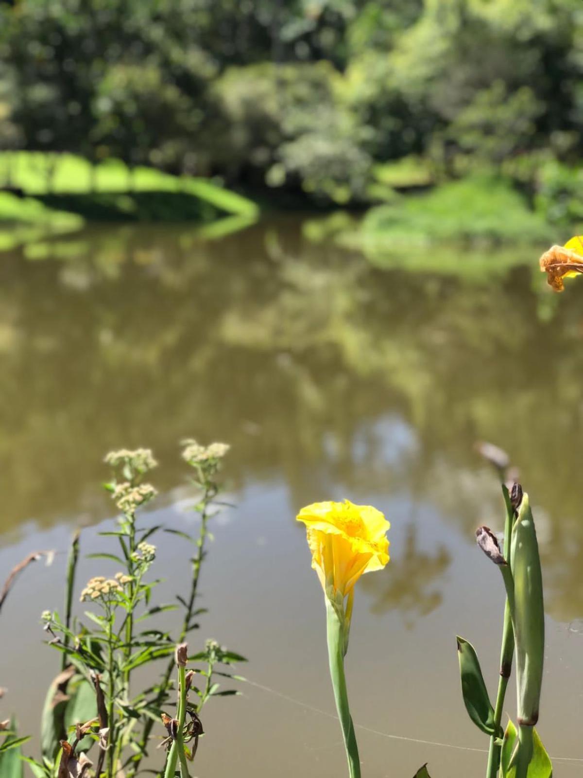 Canto De Roca Turismo E Lazer Mimoso do Sul 외부 사진