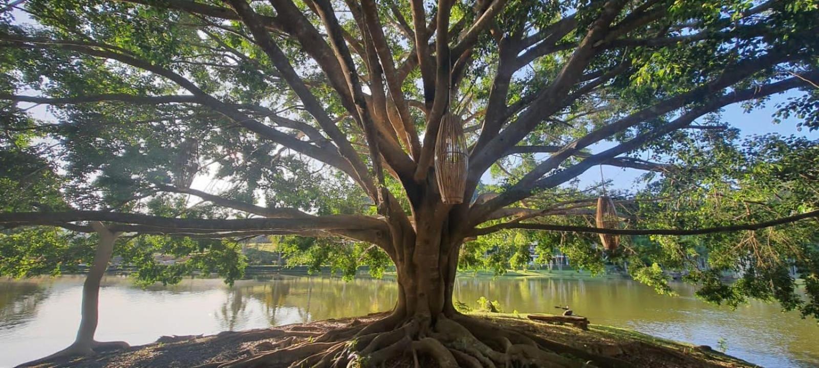 Canto De Roca Turismo E Lazer Mimoso do Sul 외부 사진